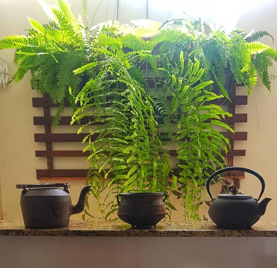 Apartamento Magna - Família Diamantina